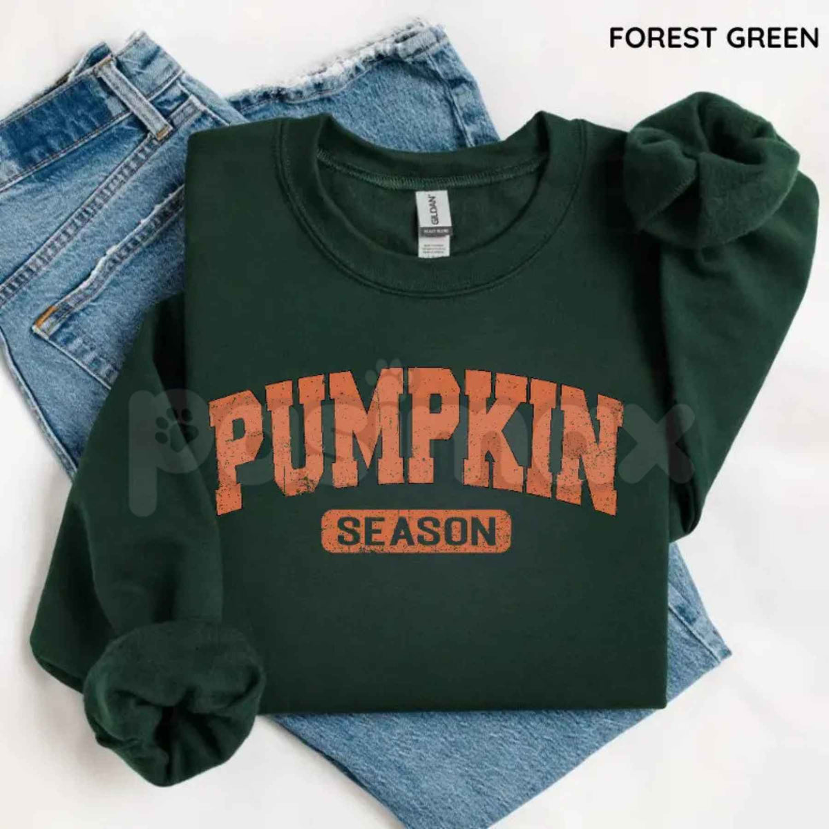 D Luxe- Retro Pumpkin Season Sweatshirt